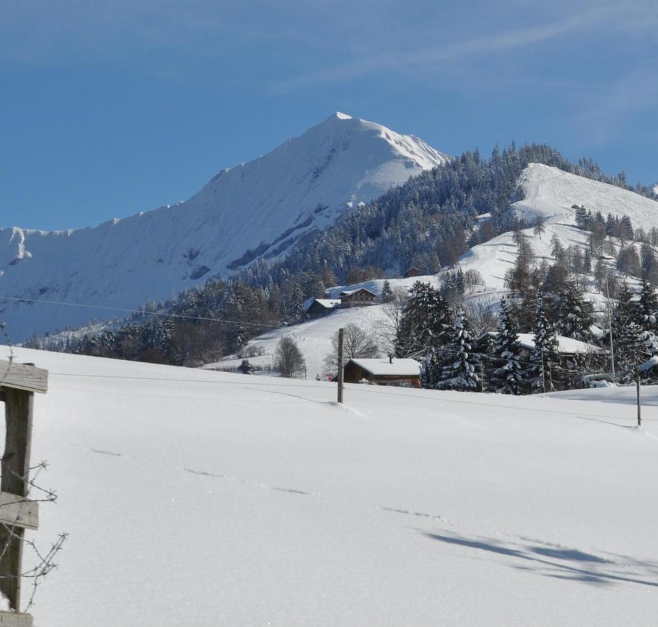 Ferienwohnung Ruhe pur Aeschi Bei Spiez Exterior foto